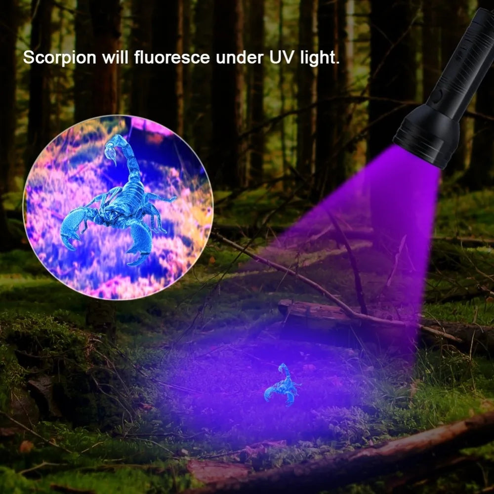 High quality Black Light UV Light