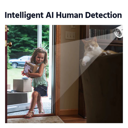 Wireless Video AI Detection